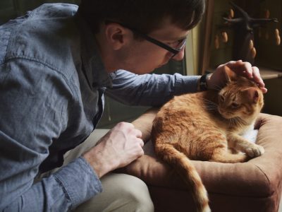 Jak se projevuje cukrovka u psů a koček