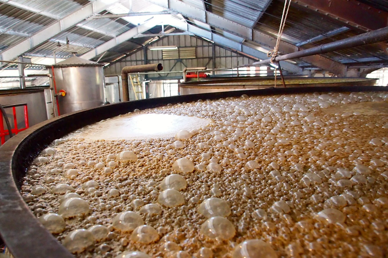 Co je to fermentace a jaké má účinky?