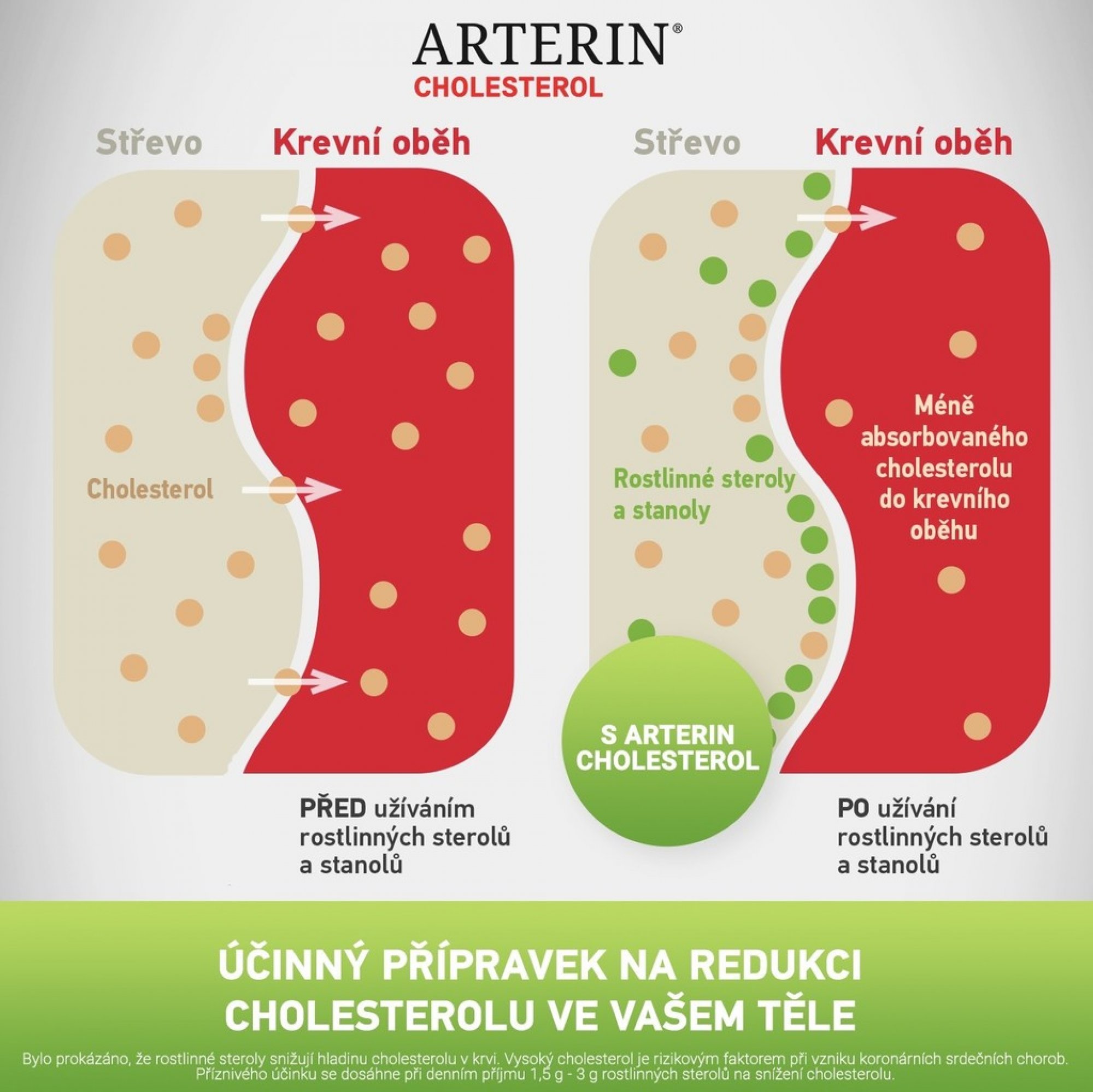 Arterin (recenze): Skutečně snižuje cholesterol?