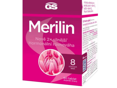 GS Merilin